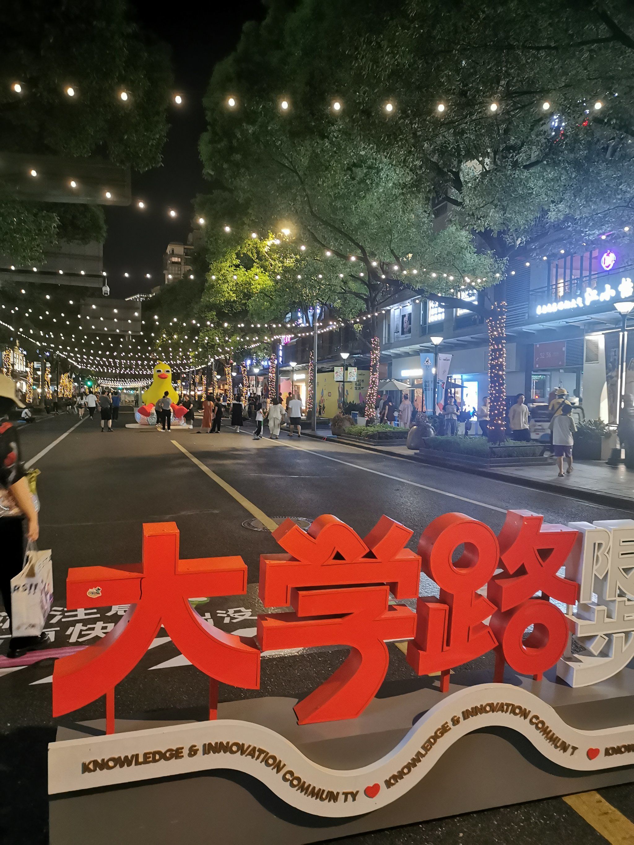 大学路限时步行街