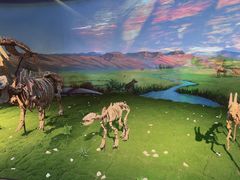 -安徽省地质博物馆