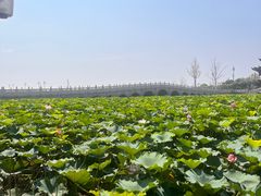 -重元寺香积厨素斋馆