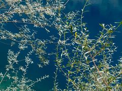 -叠溪松坪沟景区