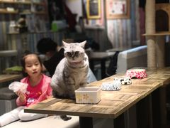 大堂-小时光咖啡馆(开森度假森林店)