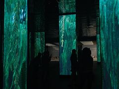 -中国湿地博物馆