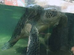 -鸿通城购物中心