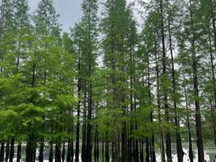 -白鹭湾湿地公园