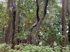 -溪口-滕头旅游景区