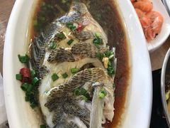 铜盆鱼-洲晓鲜·舟山海鲜大排档(朱家尖风景区店)