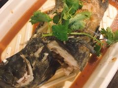 -盒马鲜生(大成店)