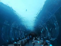 -海棠湾洲际-涛·海底餐厅·美人鱼·自助餐·海底隧道
