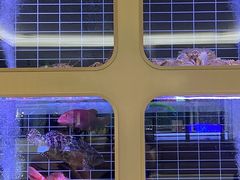 -頂好酒家·经典粤菜(海信广场店)