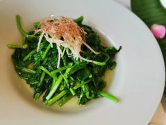 火丝银芽豆苗-江南雅厨(李公堤店)