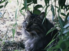 -北京西山国家森林公园