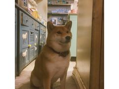 -小时光咖啡馆(北锣鼓巷店)
