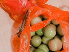 -果唯伊(共和新路店)