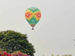 -中国科学院西双版纳热带植物园