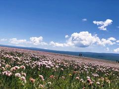 -青海湖国家重点风景名胜区