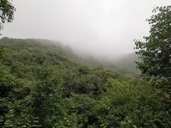 -阳台山自然风景区