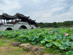 -上海海湾国家森林公园