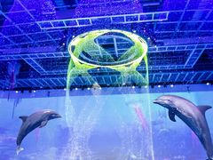 -上海海昌海洋公园