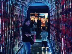 -西湖外事游船(花港观鱼码头)