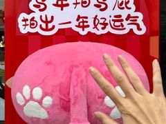 -坂田天虹