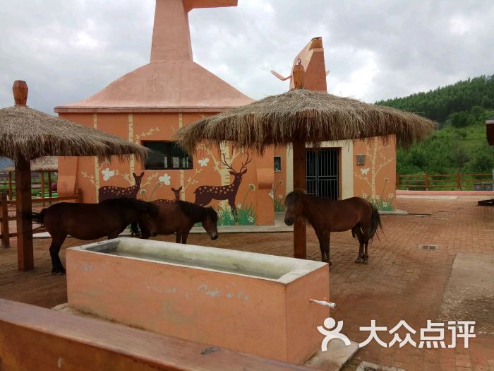 亚布力森林动物园图片 - 第1张