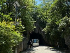 -巢湖姥山岛