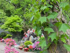 -上海醉白池公园
