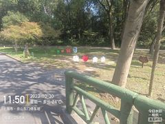 -上海佘山国家森林公园西佘山园