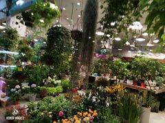 -双季花艺园艺市场(浦东店)