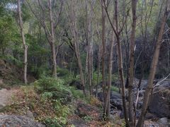 -云岫谷游猎自然风景区