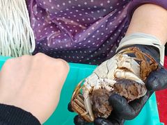 -蟹天蟹地农家菜·阳澄湖大闸蟹(浅水湾店)