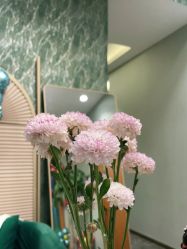-卡尔诗·科技美肤连锁