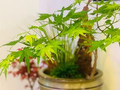 -Rabbit Cafe私房西餐甜点咖啡(栖霞路店)