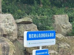 -巢湖姥山岛