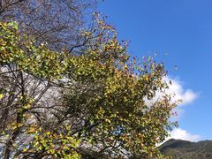 -松花湖风景名胜区