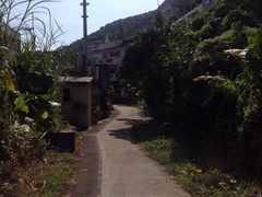 -南丫岛