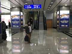 -威海大水泊国际机场