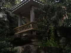 -老幺泉水鸡