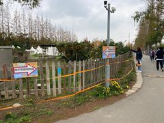 -上海长兴岛郊野公园