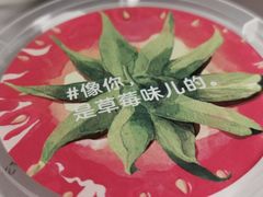 -乐纯(苹果社区店)