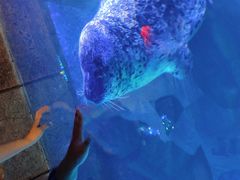 -波塞冬旅游度假区