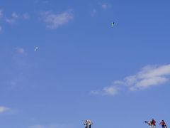 -白鹭湾湿地公园