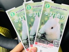 -秦皇岛野生动物园