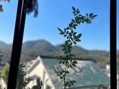 -马灯部落·西湖边的创意山景餐厅(虎跑动物园店)