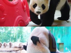 -杭州野生动物世界