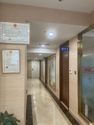 -碧莲盛·不剃发植发