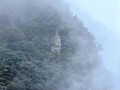 -秦岭天竺山景区