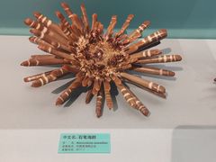 -天津自然博物馆