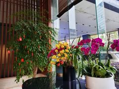 -长沙小天鹅戴斯酒店