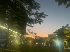 -农汤老店(顺联公园里店)